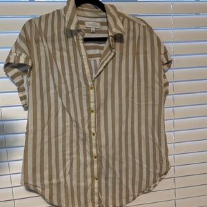 New Directions Brown and White Striped Button Down Shirt